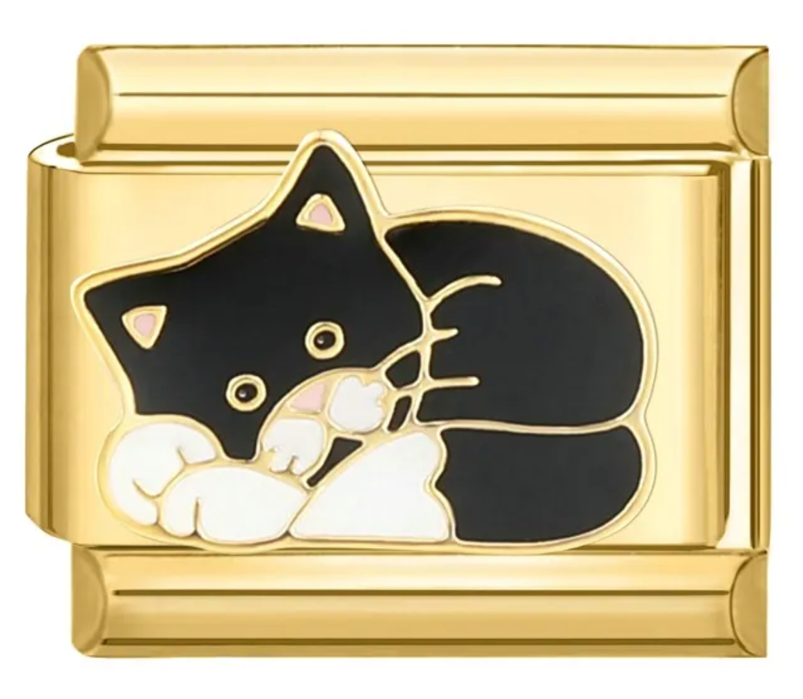 Charm Gato