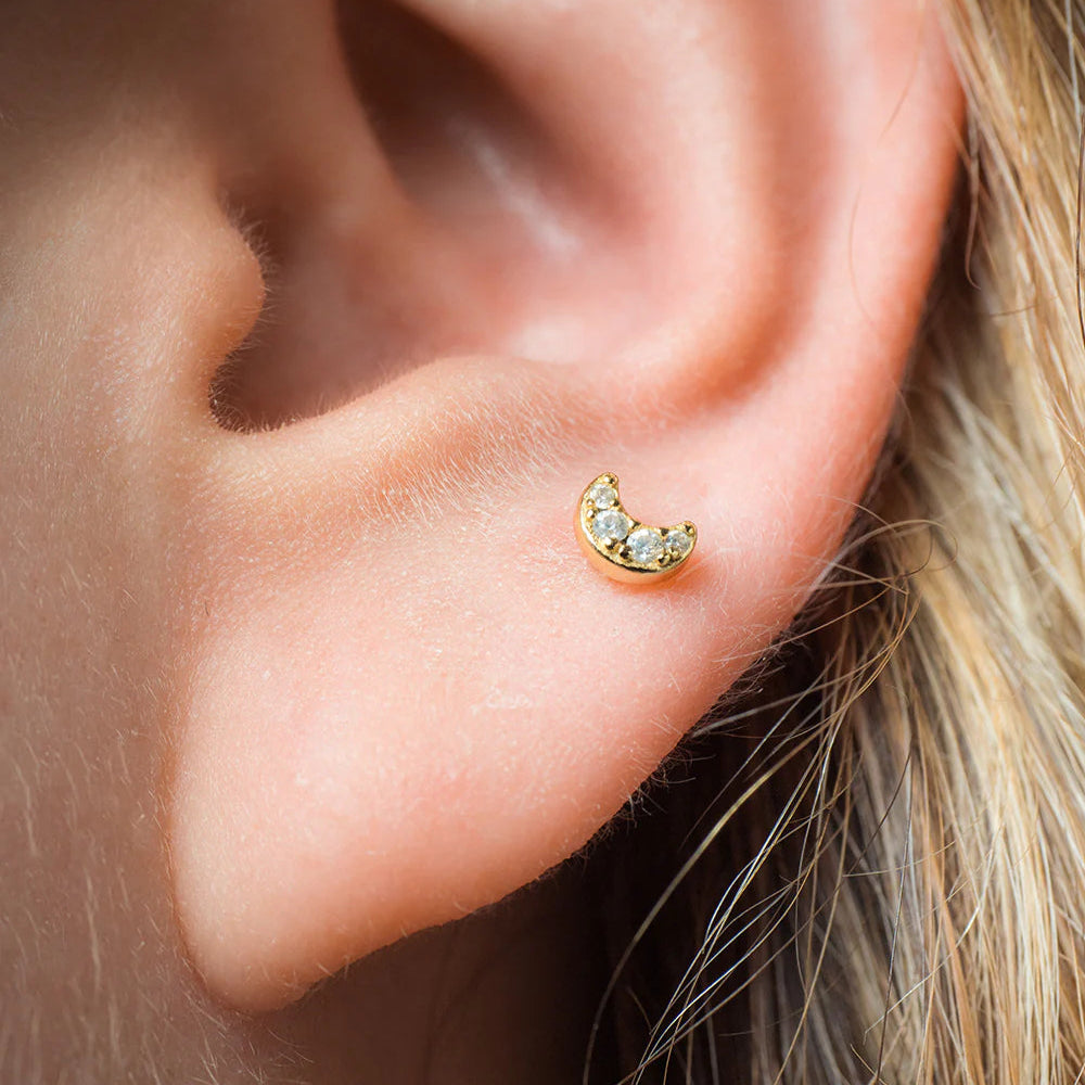 Piercing Olenia,,