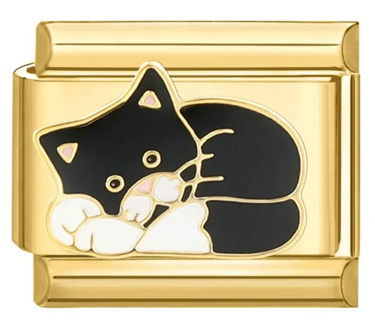Charm Gato