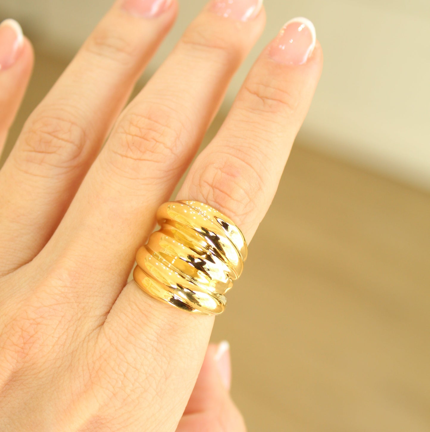 Anillo Delhi